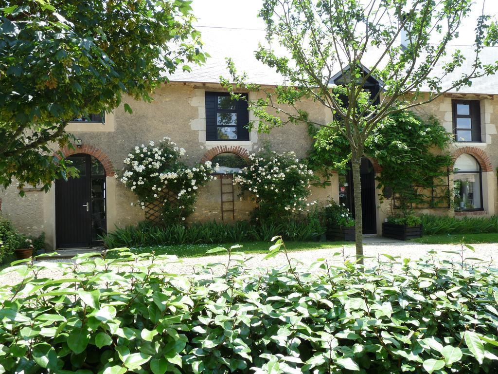 Bed and Breakfast La Ligne Angles-sur-lʼAnglin Exteriér fotografie