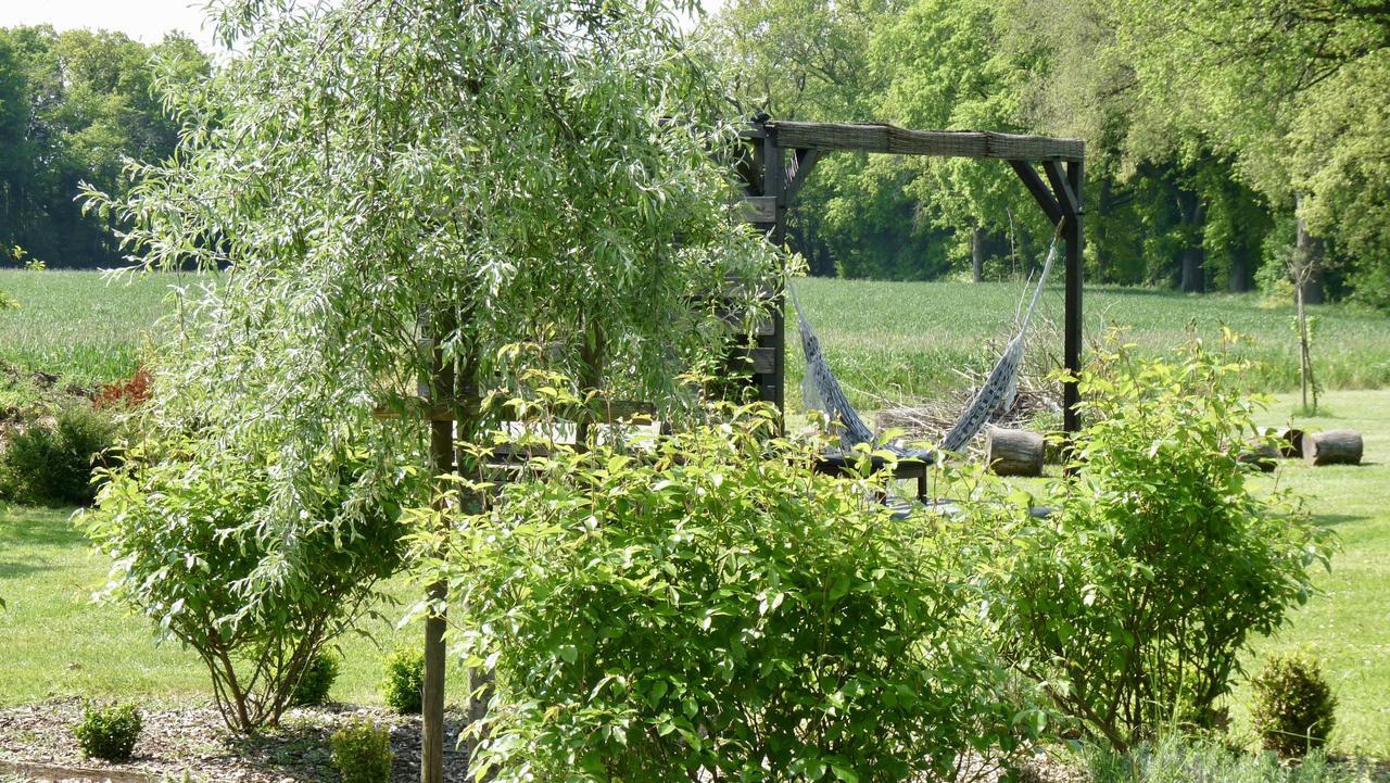 Bed and Breakfast La Ligne Angles-sur-lʼAnglin Exteriér fotografie
