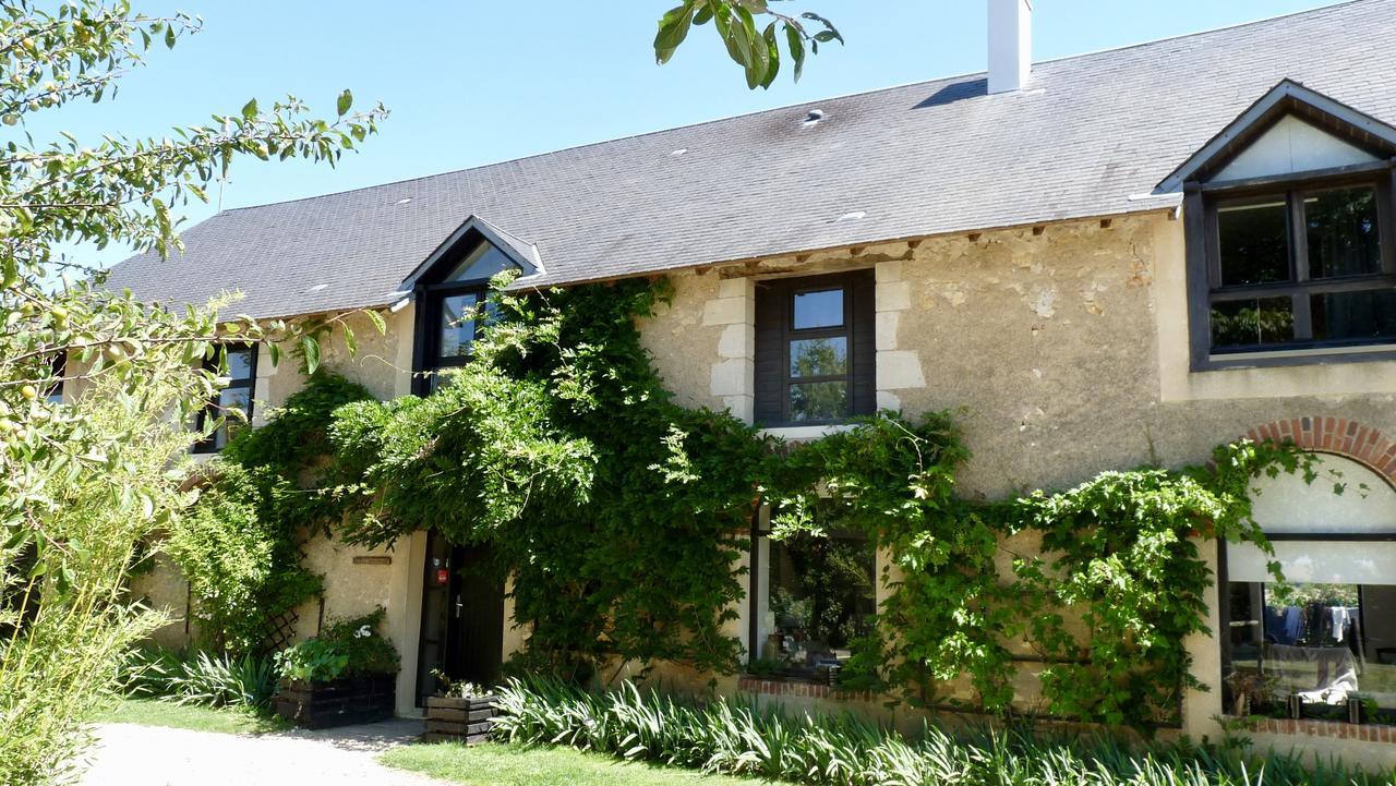 Bed and Breakfast La Ligne Angles-sur-lʼAnglin Exteriér fotografie